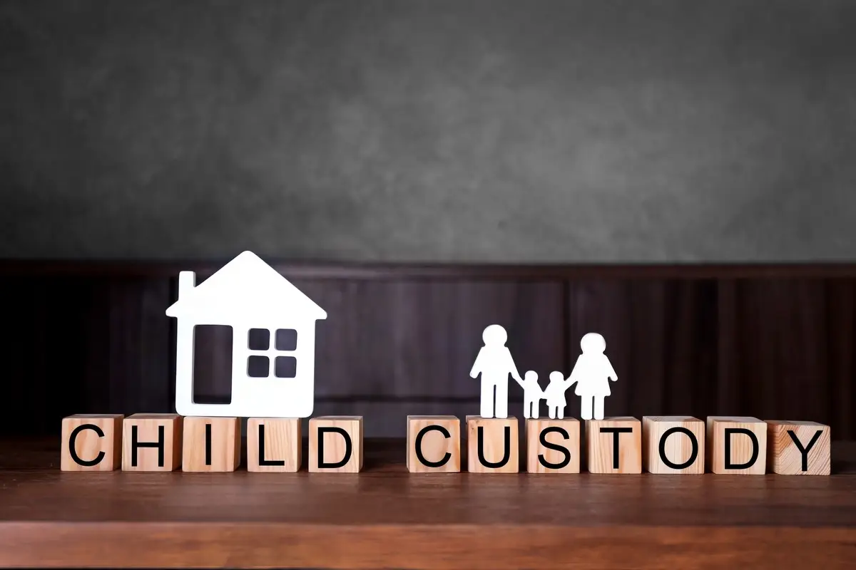 child custody options